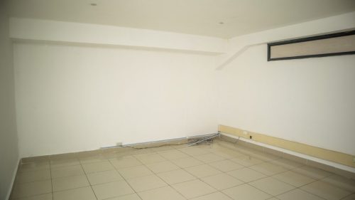 IMG 1004